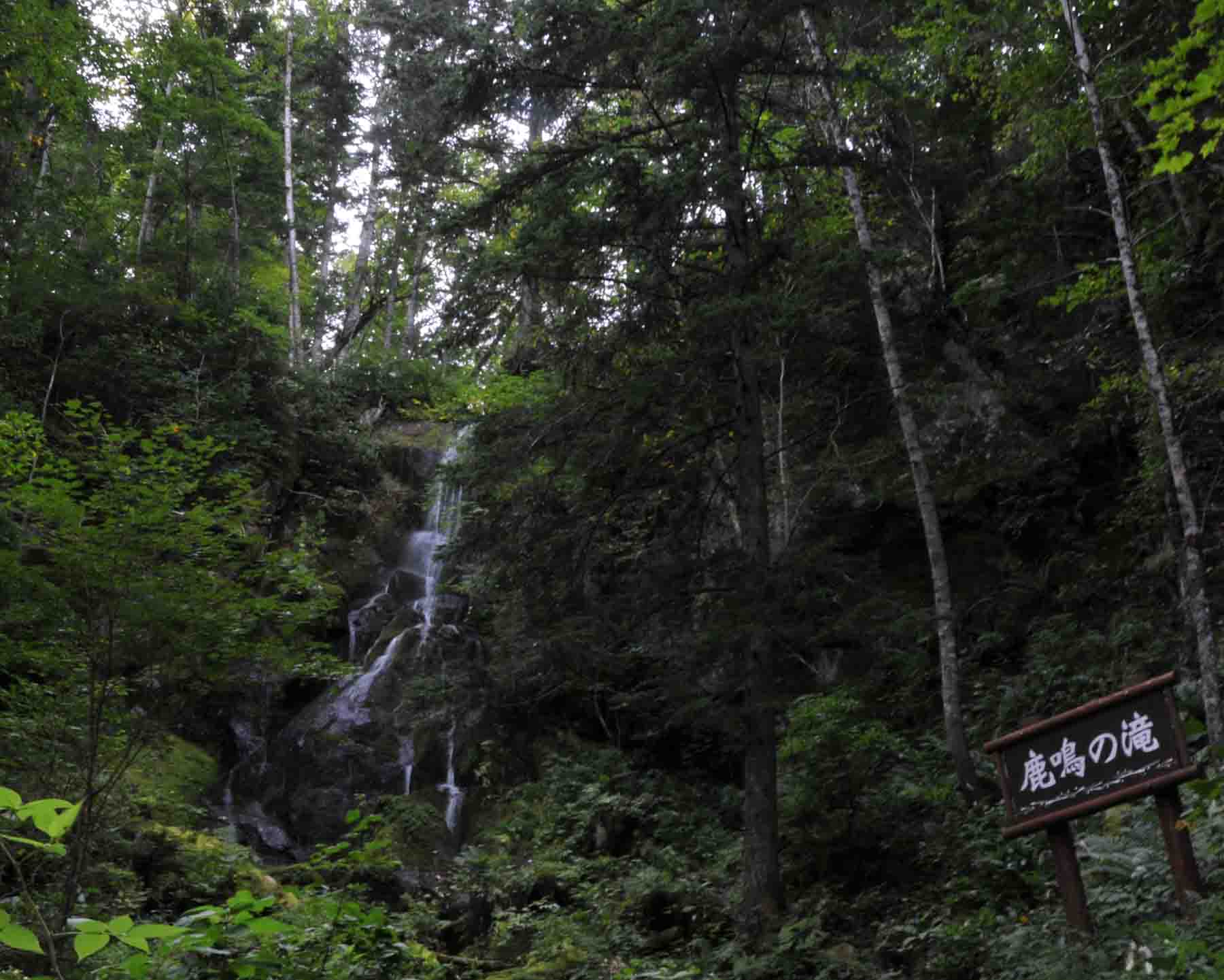 鹿鳴の滝１